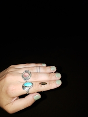 Pyractomena ecostata