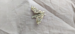 Lepidoptera