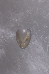 Cystiscus angasi