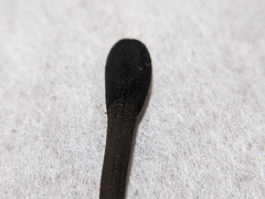 Geoglossum glabrum