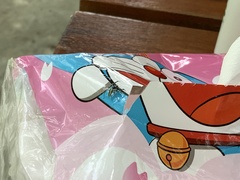 Phintelloides versicolor