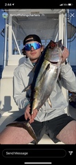 Thunnus