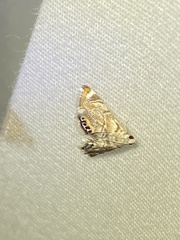 Eoparargyractis irroratalis