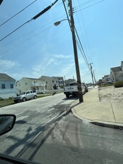 Tabanus nigrovittatus