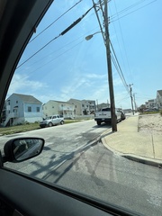 Tabanus nigrovittatus