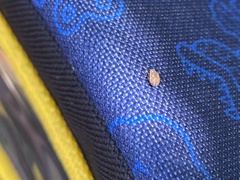 Demotina modesta