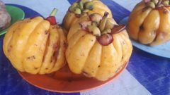 Garcinia atroviridis