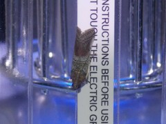 Chararica hystriculella