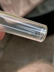 Calybites phasianipennella