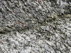 Hakka