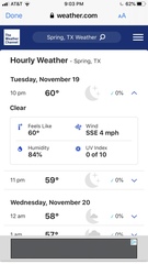 Belocaulus angustipes