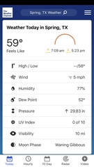 Belocaulus angustipes