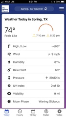 Belocaulus angustipes