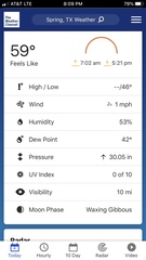 Belocaulus angustipes