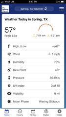 Belocaulus angustipes