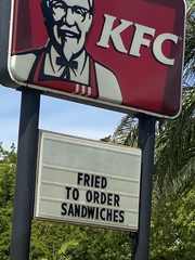 Streptopelia decaocto