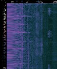 Phylloscopus examinandus