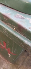 Enoplognatha ovata