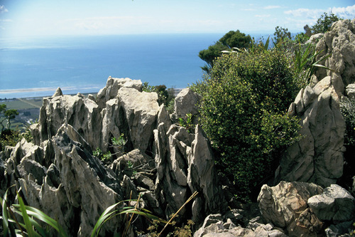 Mt Burnett Matipo