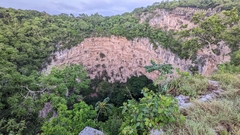 Psittacara holochlorus