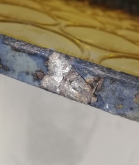 Brachylomia viminalis