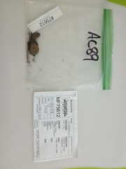 Cortinarius semivestitus