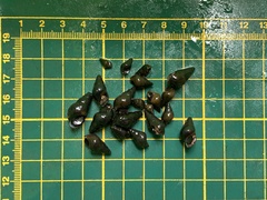 Semisulcospira libertina