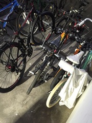 Rallina eurizonoides