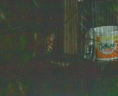 Leopardus pardalis mitis