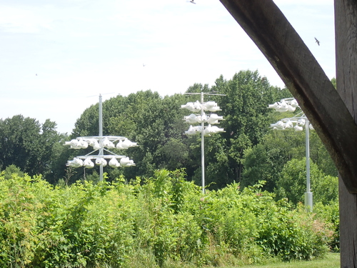 Purple martin houses