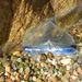 photo of By-the-wind Sailor (Velella velella)