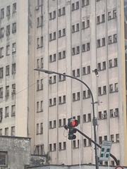 Caracara plancus
