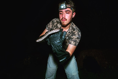 Python molurus