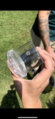 Anthophora bomboides bomboides