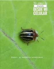 Agroiconota propinqua