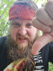 Pholiota subsulphurea