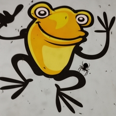 Larinioides sclopetarius