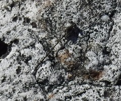 Ecchlorolestes peringueyi