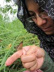 Yphthimoides maepius