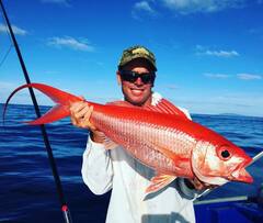 Flame Snapper photo 1