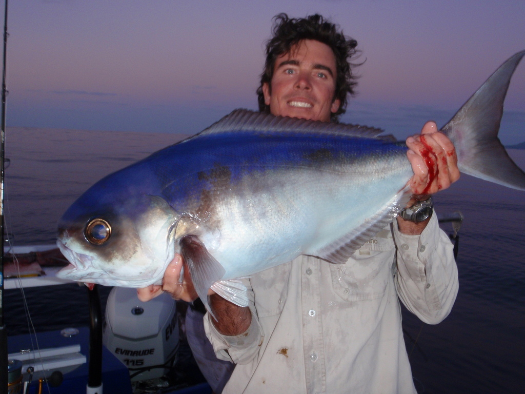 African barrelfish (Schedophilus velaini) — Centrolophidae