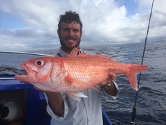 Ruby Snapper photo 1