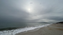 Leptomithrax gaimardii