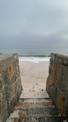 Leptomithrax gaimardii