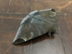 Pindara