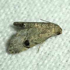 Abablemma brimleyana