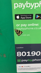 Euplagia quadripunctaria