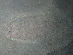 Arnoglossus laterna