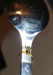 Xysticus texanus