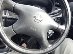 Chtonobdella limbata